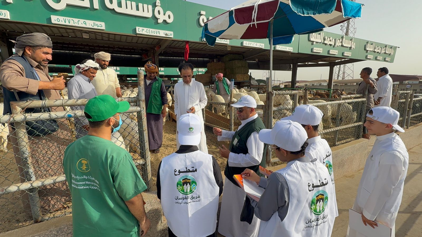 “بيئة مكة” تنفذ جولة توعوية بمسلخ جدة وسوق مواشي “الواحة” لتعزيز السلامة الغذائية