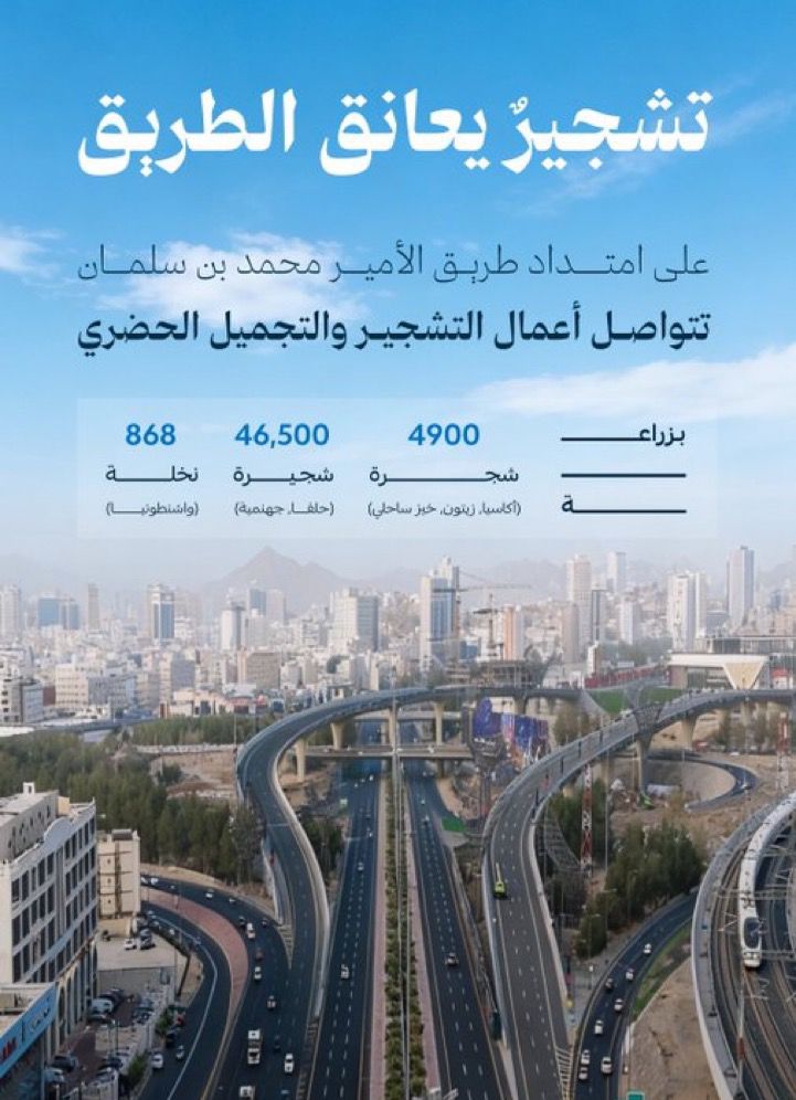 تشجير يعانق الطريق.. أمانة العاصمة المقدسة تواصل أعمال التشجير والتجميل الحضري بمكة المكرمة