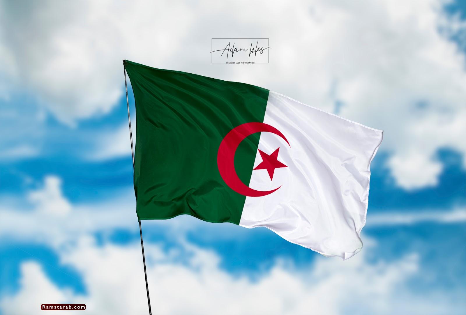 السيسي يتسلم رسالة خطية من رئيس دولة الجزائر الشقيقة