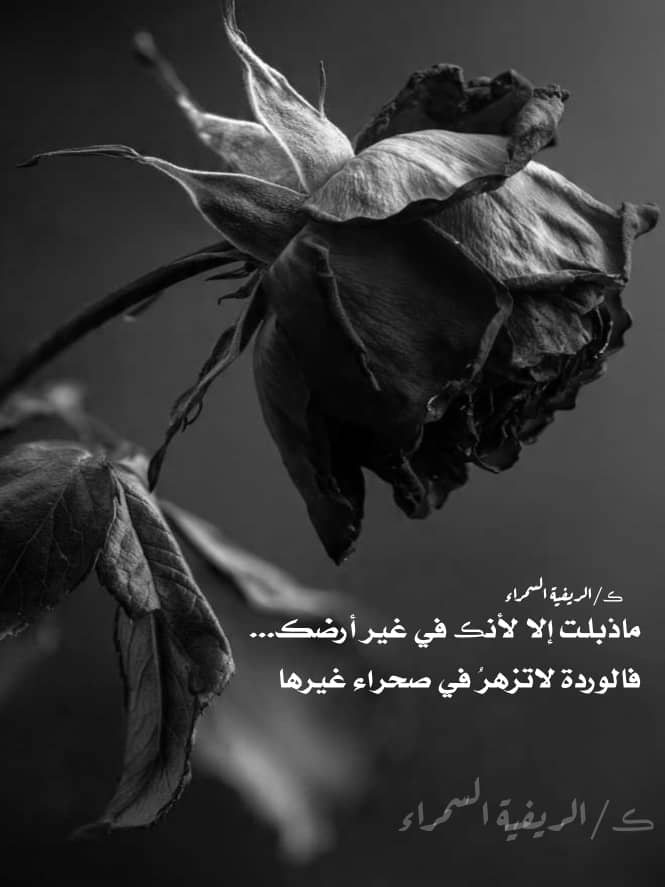 جـذور فـي غيـر تـربتـها