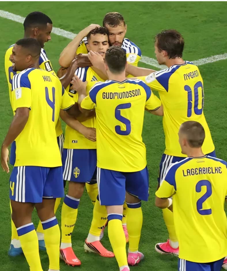 هزيمة قاسية لتونس أمام السويد بلاعب من اصولها