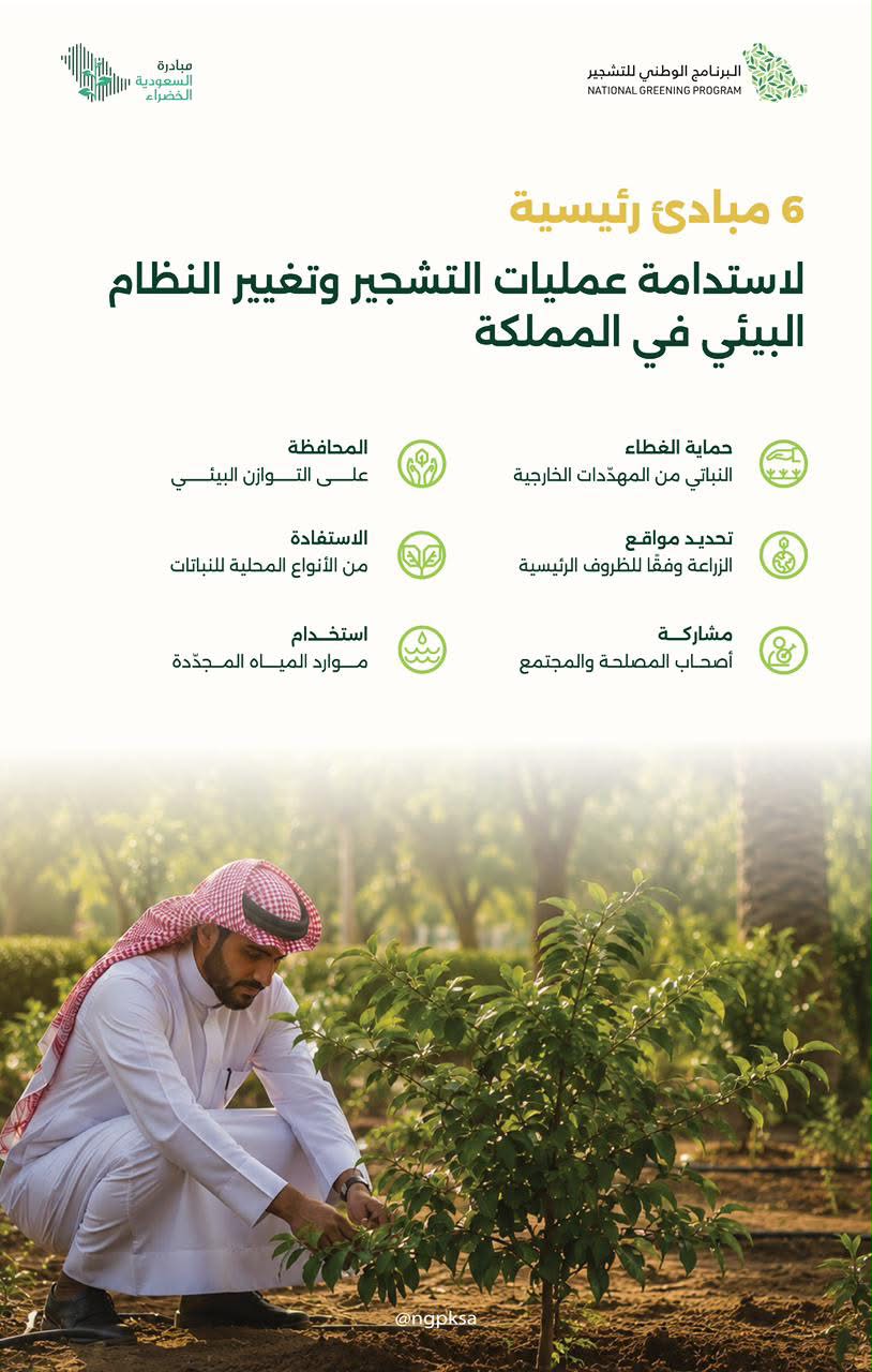 6 مبادئ رئيسية لاستدامة عمليات التشجير وتغيير النظام البيئي في المملكة