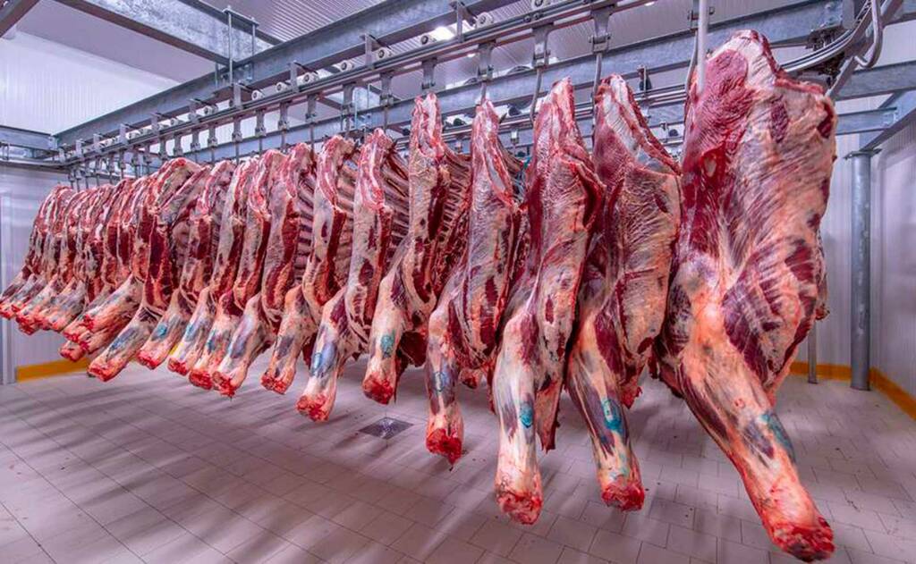 فرع «بيئة مكة» يطرح مشروعًا استثماريًا لإنتاج اللحوم الحمراء بمحافظة الطائف بعقد يمتد 15 عامًا