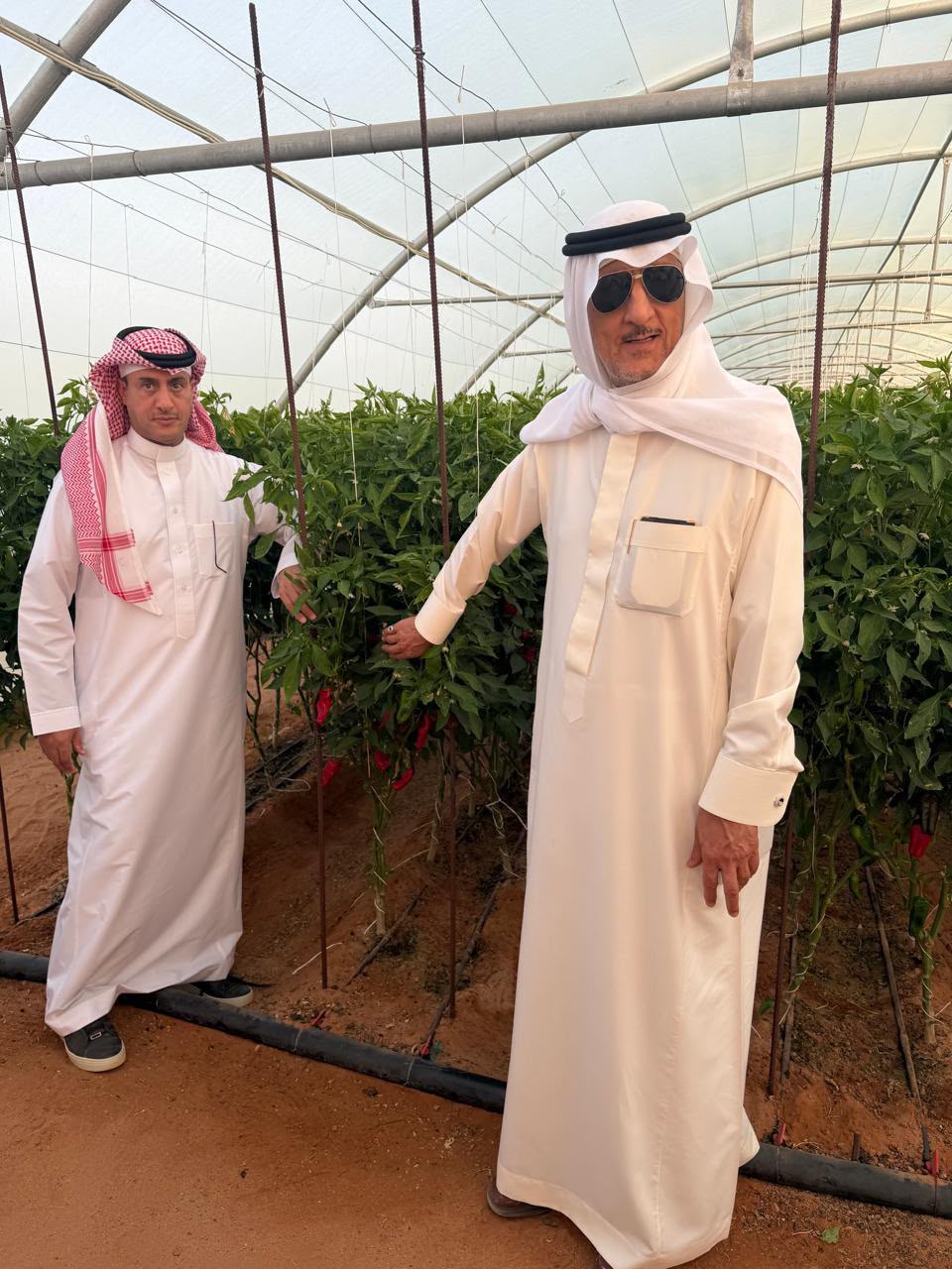 محافظ شقراء يزور مزرعة أرض الفلفل