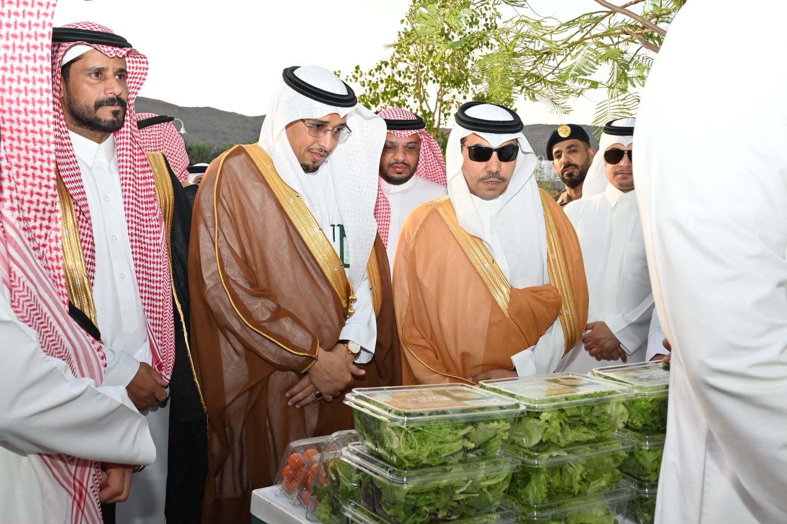 تدشين سوق التمور الموسمي السادس بمركز رهاط بمحافظة الجموم