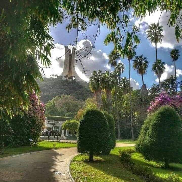 زفاف لوجوه العفاف