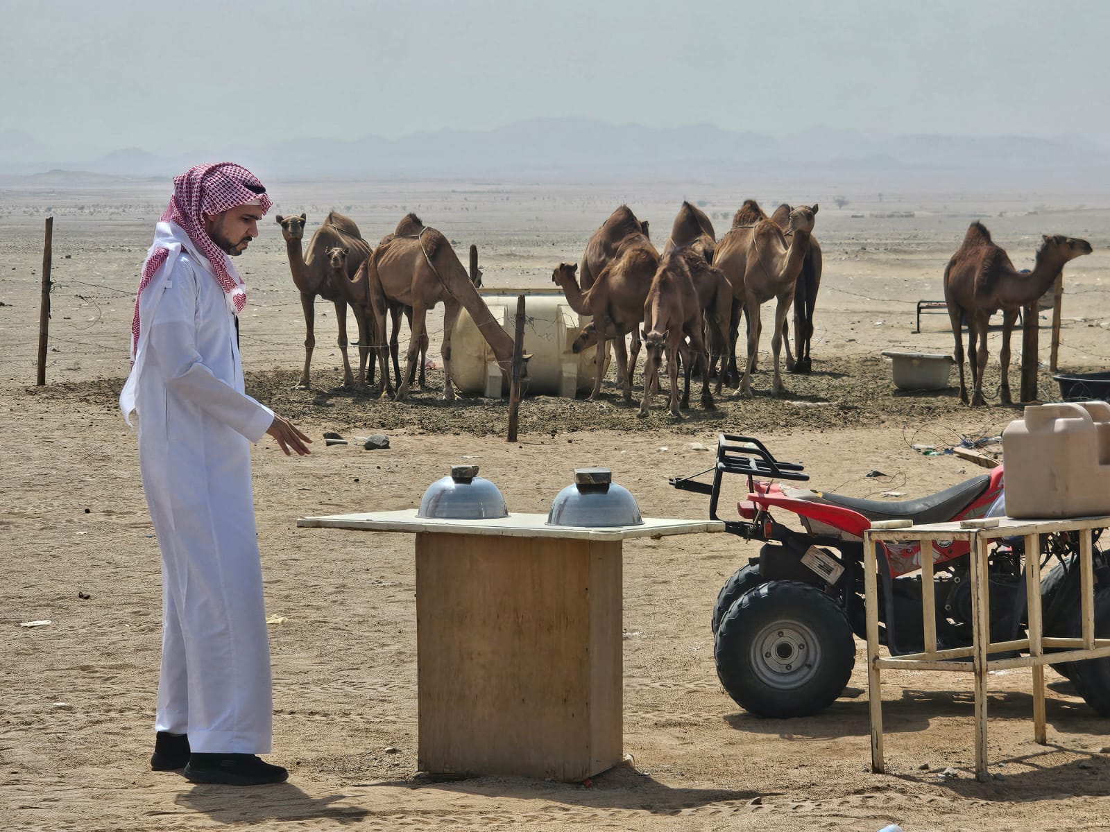 «بيئة مكة» تواصل جولاتها الرقابية لمكافحة البيع العشوائي لحليب الإبل في محافظة جدة