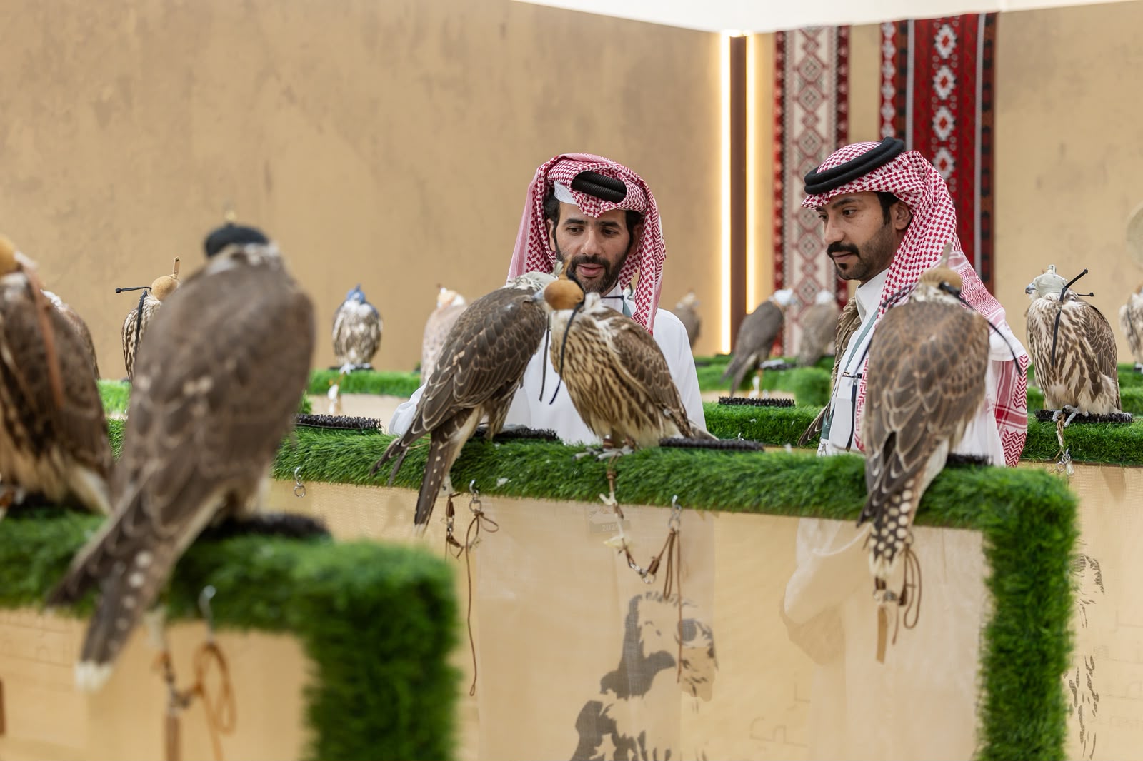 إقبال من الزوار لزيارة المزاد الدولي لمزارع إنتاج الصقور في إجازة نهاية الأسبوع