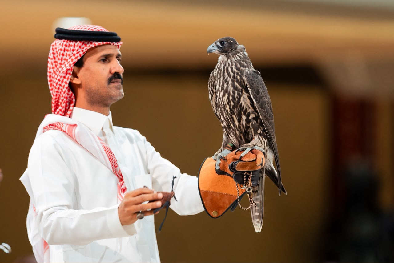 من الجير إلى الشاهين.. خصائص تميز أنواع الصقور في المزاد الدولي لمزارع إنتاج الصقور