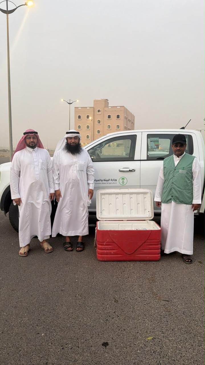 بيئة الليث تقوم بتعزيز أعمال الرقابة والتفتيش على مراسي الصيد