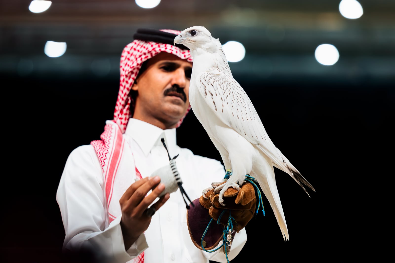 الأمير نايف بن سلطان : شراء «مثلوث جير» بـ1.3 مليون ريال استثمار في إنتاج الصقور المحلية