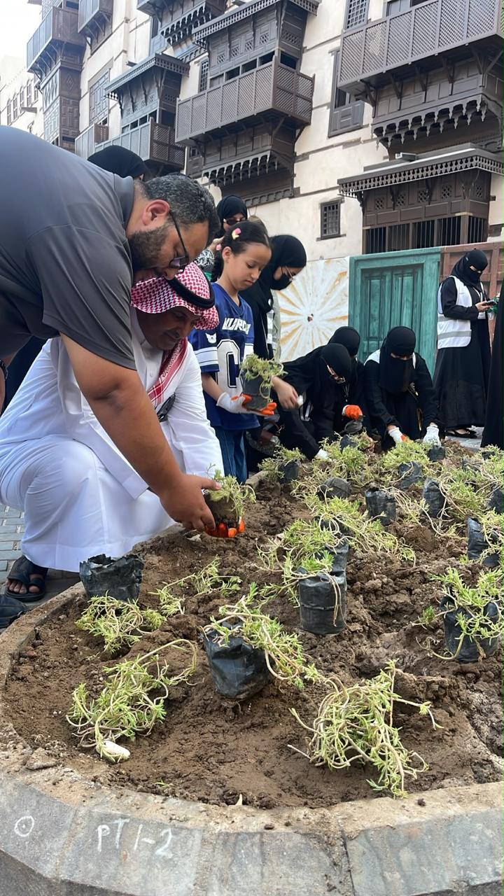 بيئة مكة تواصل تشجير جدة التاريخية بزراعة 3 آلاف شتلة