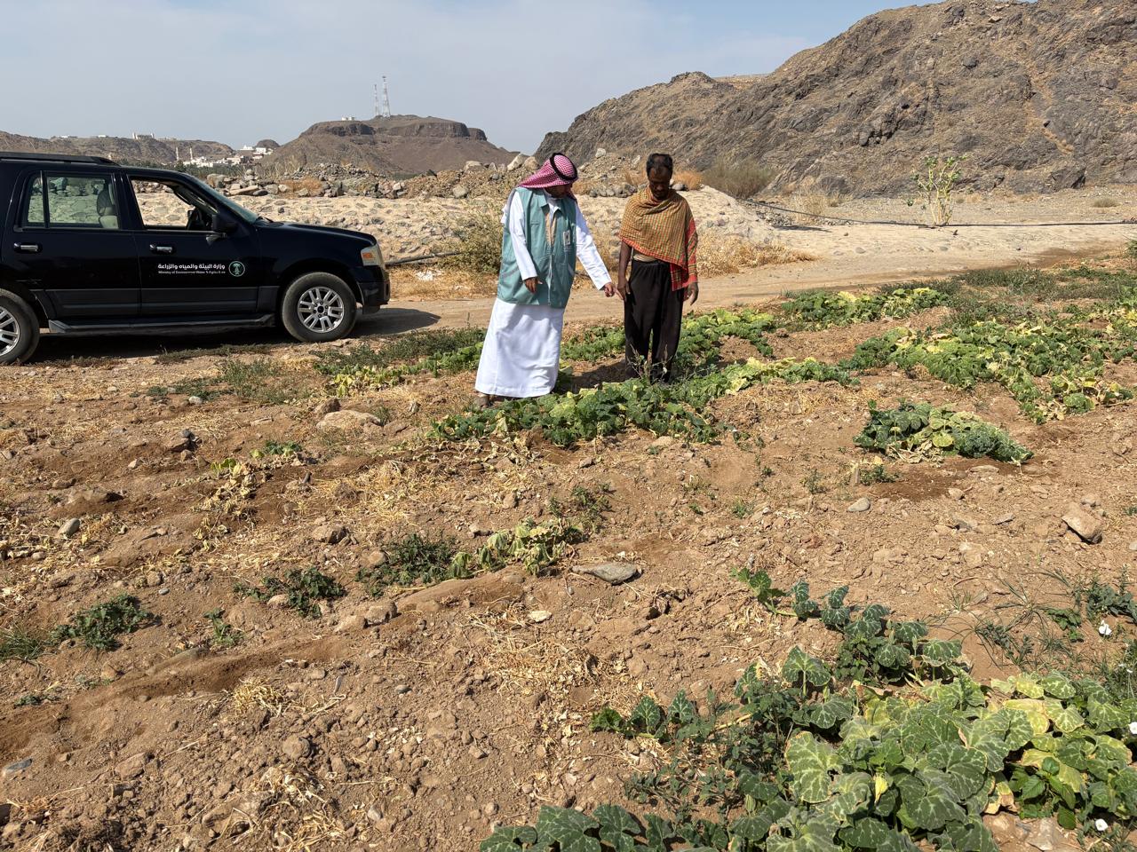 بيئة الكامل ينفذ جولات إرشادية لتوعية المزارعين