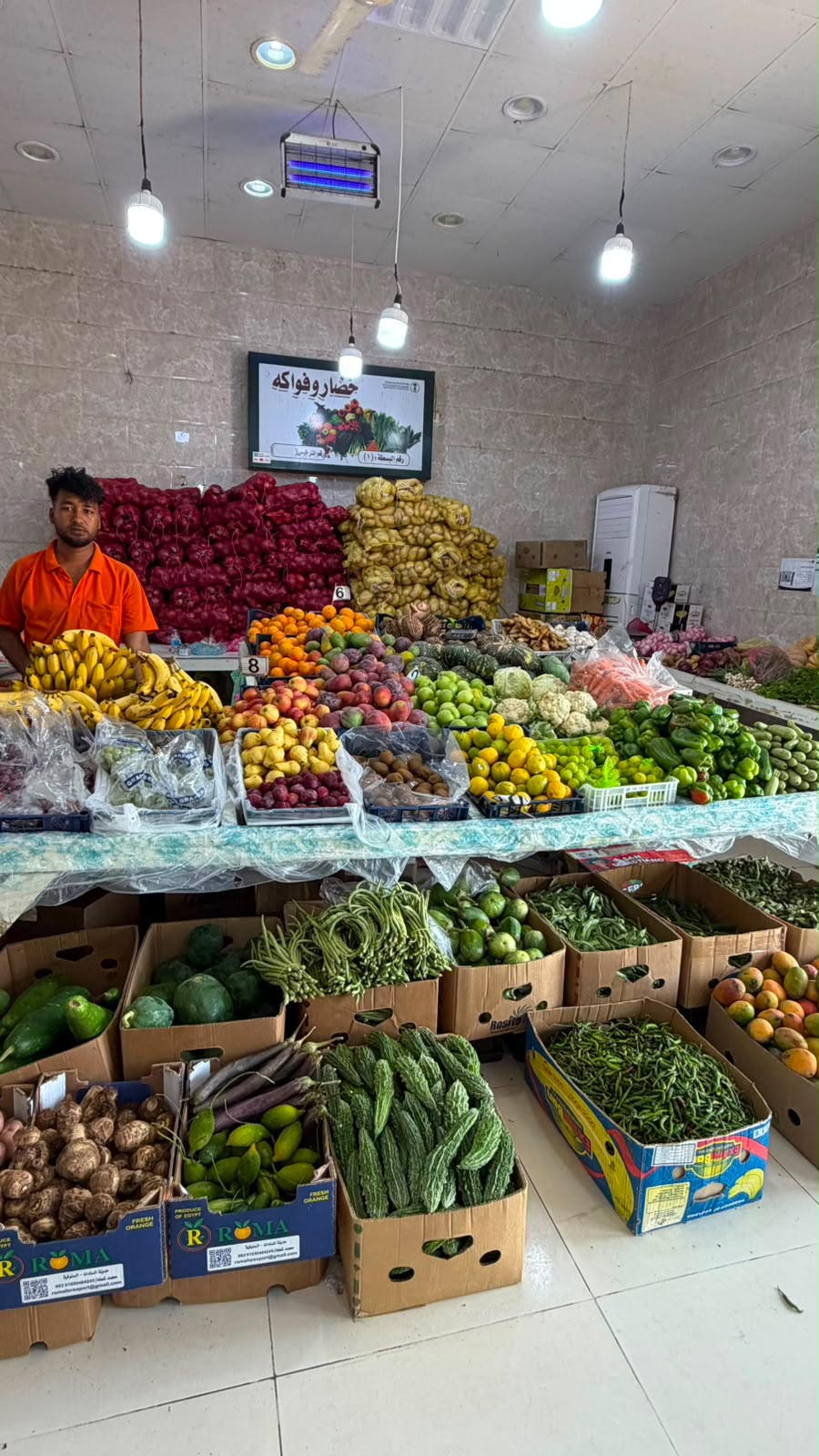 بيئة محافظة الليث تنفذ جولة رقابية على سوق الخضار المركزي ومرسى الصيادين