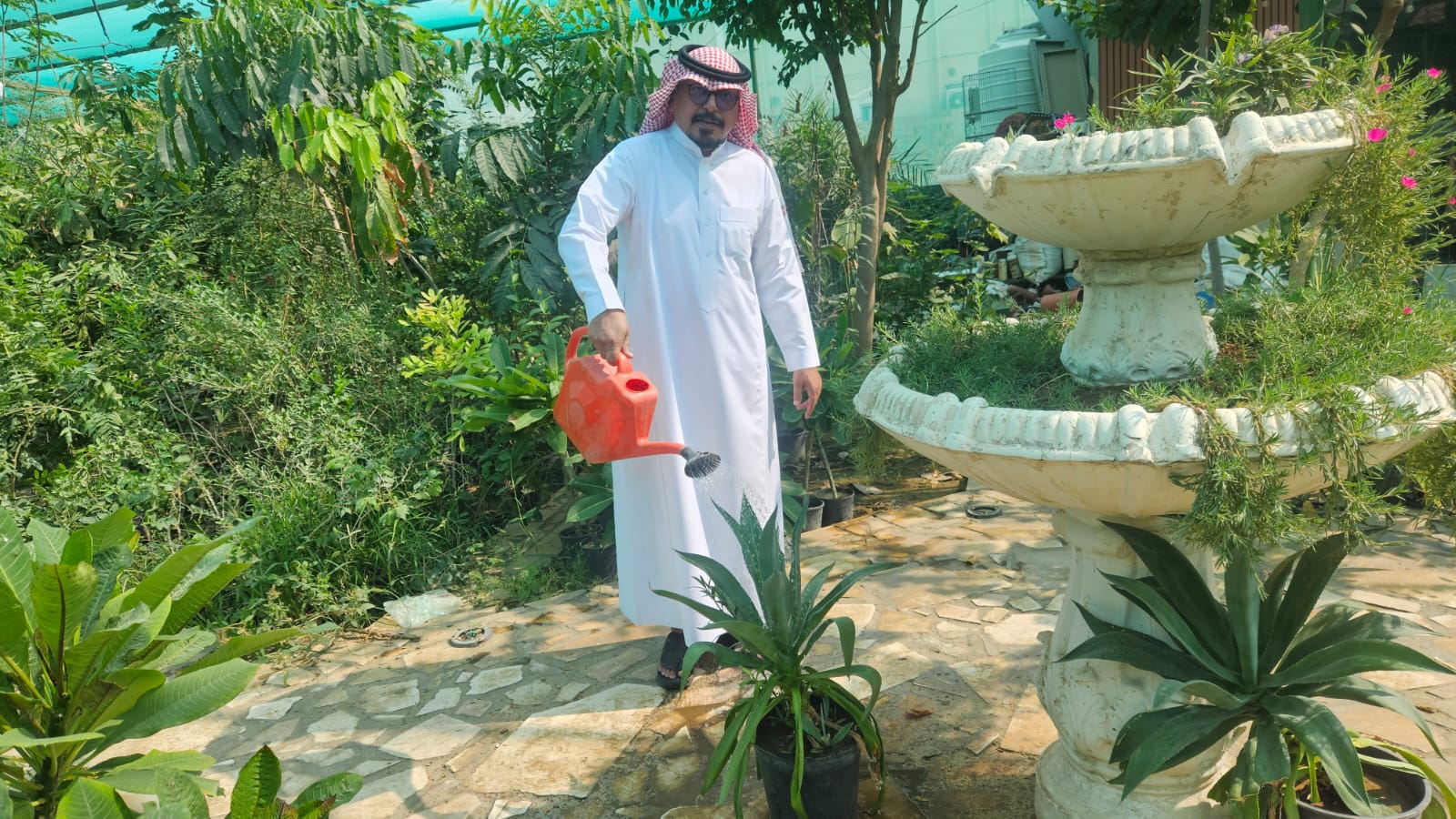 مبادرة لسقيا الأشجار والعناية بالأحواض الزراعية بالمحافظة