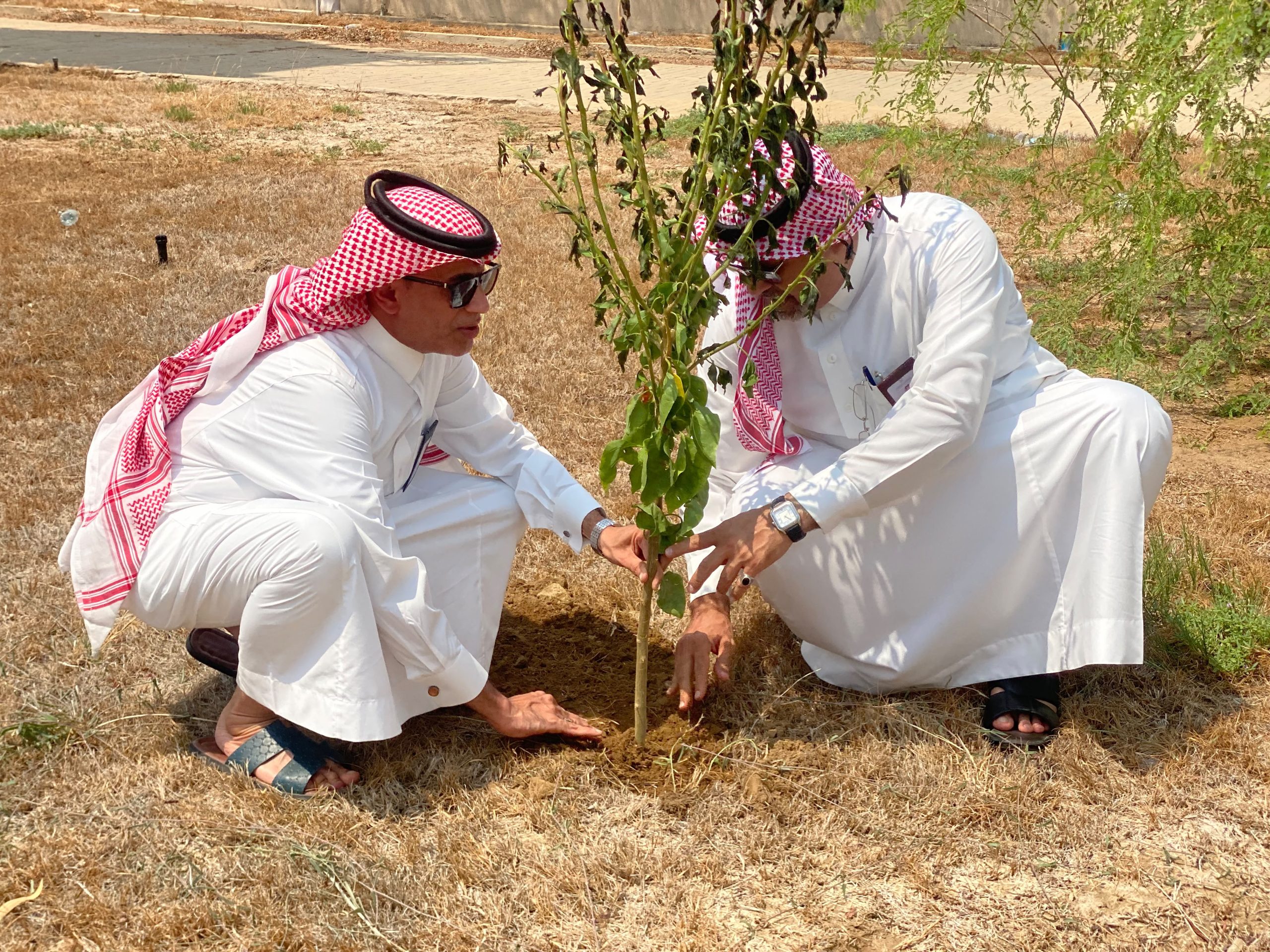 بيئة الليث تنفذ   مبادرة التشجير بالتعاون مع الكلية التقنية بالليث