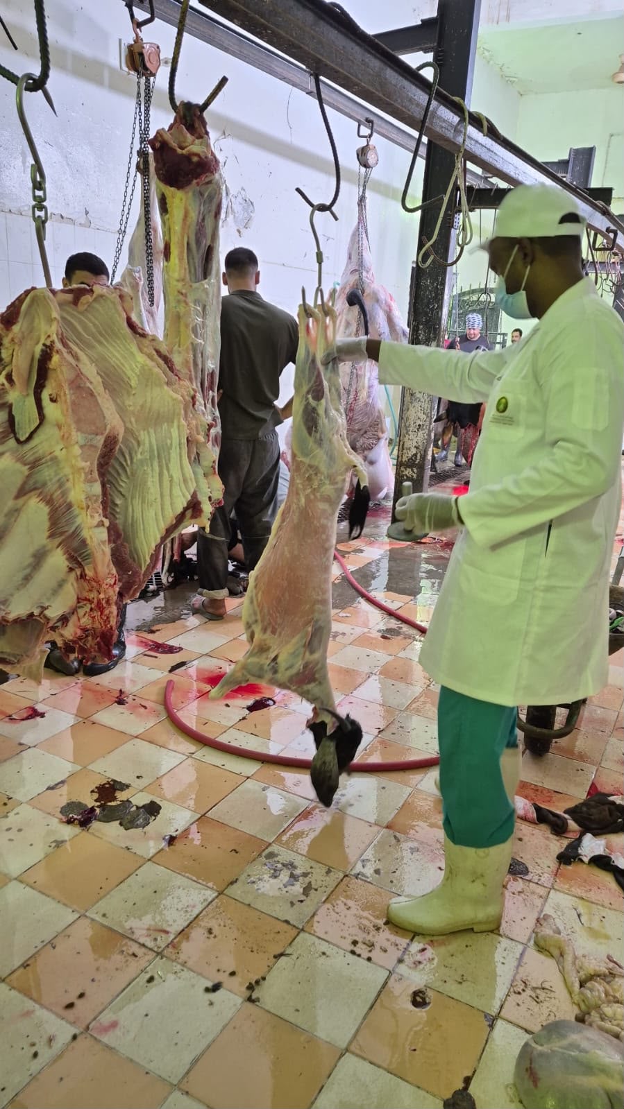 بيئه رنيه تنفذ عددًا من الجولات الرقابية والتفتيشية على أسواق النفع العام
