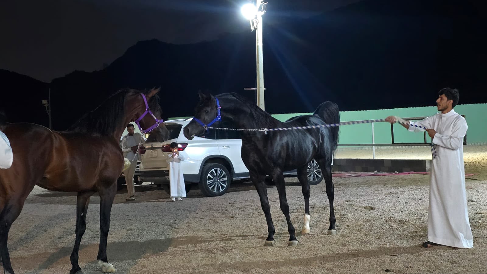 أمسية رشد للتأهيل.. ليلة أدبية وفروسية في أحضان الطائف   