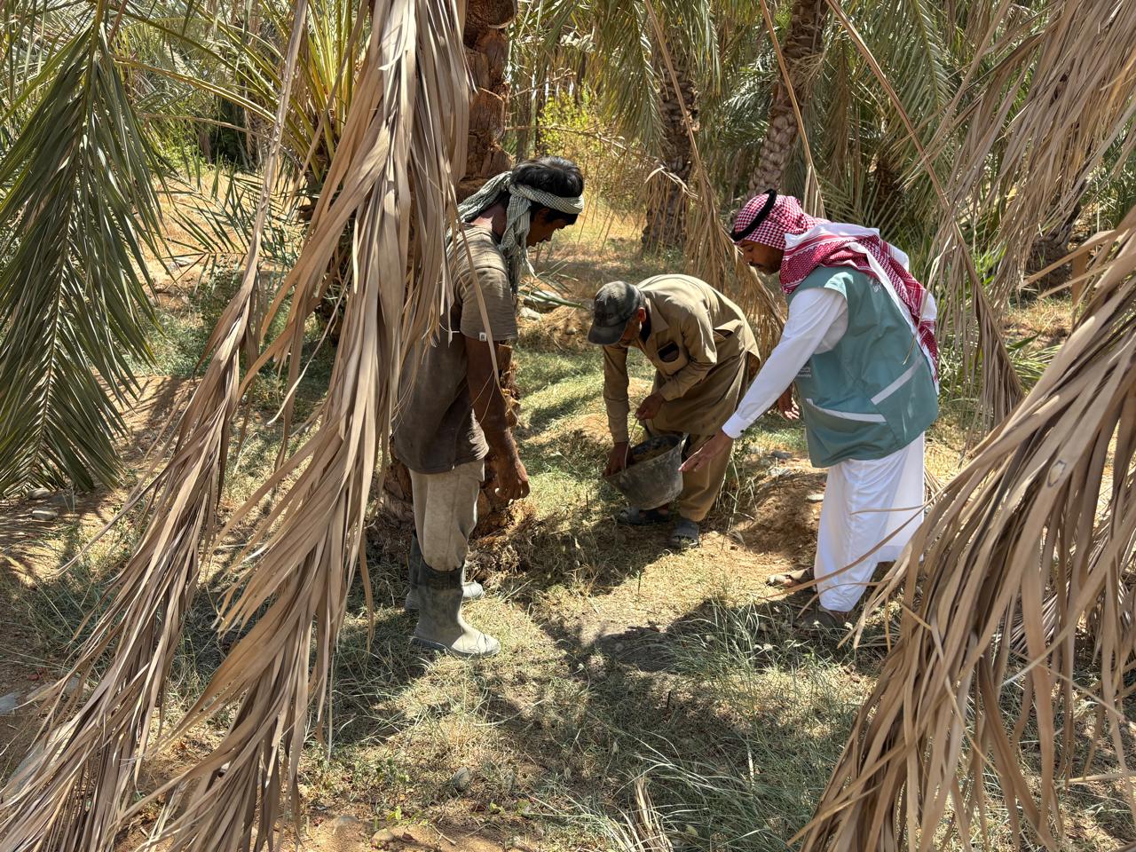 بيئة الكامل ينفذ مبادرة جولة ميدانية إرشاديه علي احدى المزارع بالمحافظة
