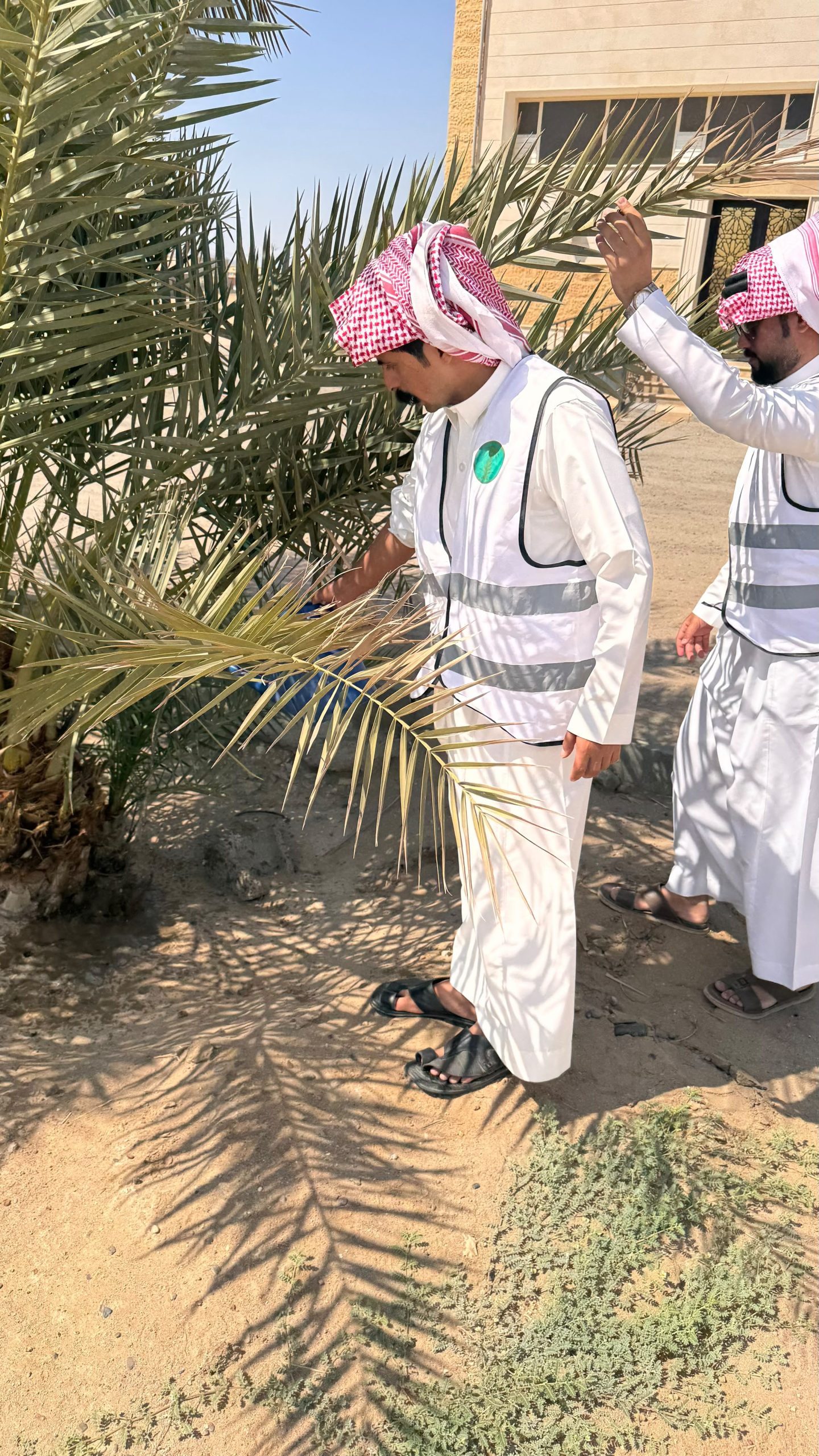 بيئه رنيه ينفذ مبادرة تطوعية بعنوان “سقيا مزروعات المساجد”