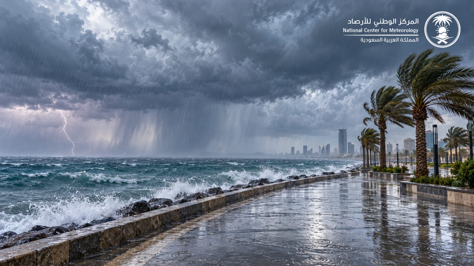 الأرصاد يتوقّع أمطارًا غزيرة مصحوبة بالبرد وجريان السيول في سبع مناطق