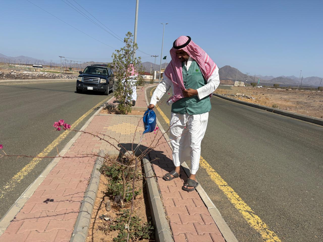 بيئة الكامل ينفذ مبادرة بيئية لسقيا طريق مخطط الحره بمحافظة الكامل