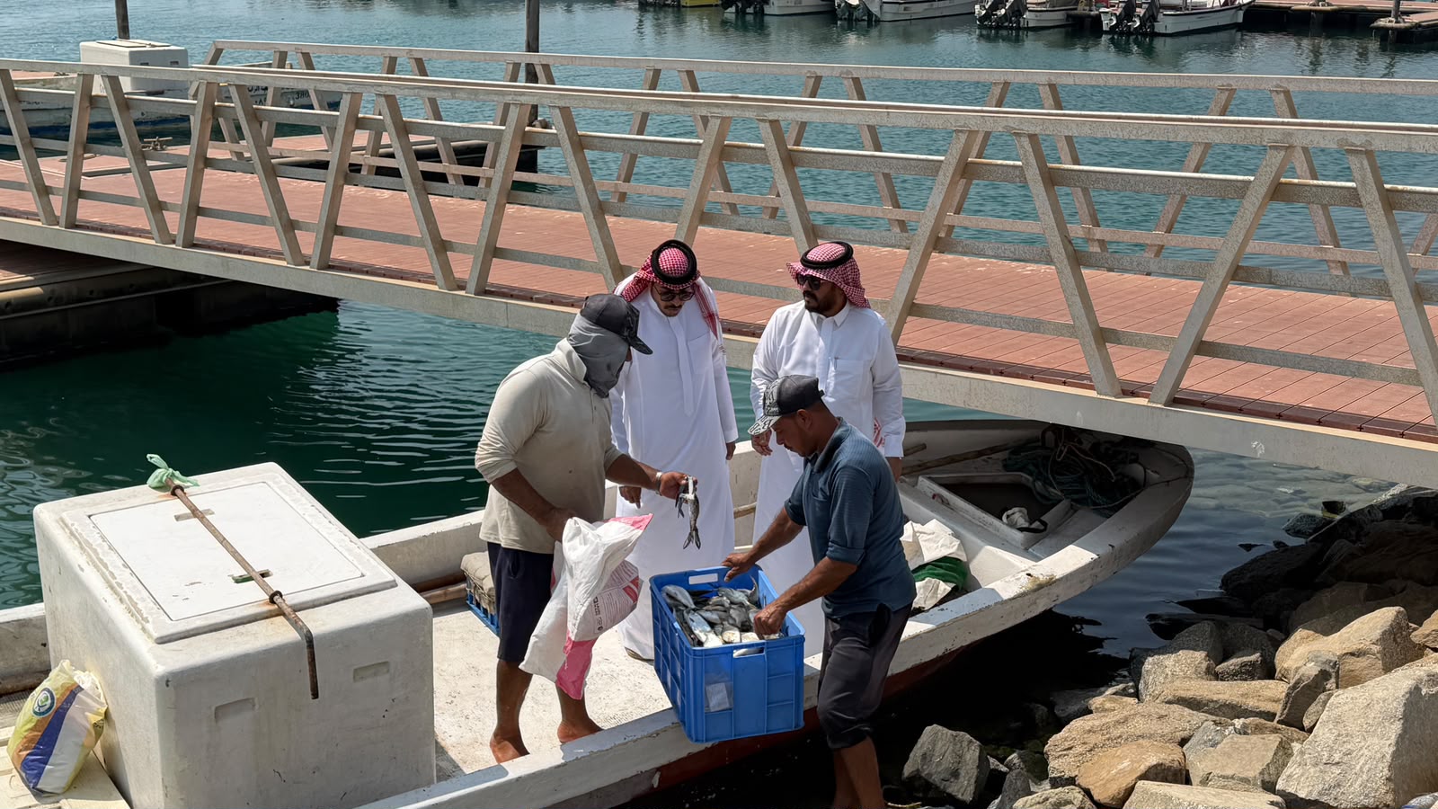 مكتب بيئة الليث يواصل أعمال الرقابة والامتثال ومتابعة تجهيز مرفأ الصيادين الجديد