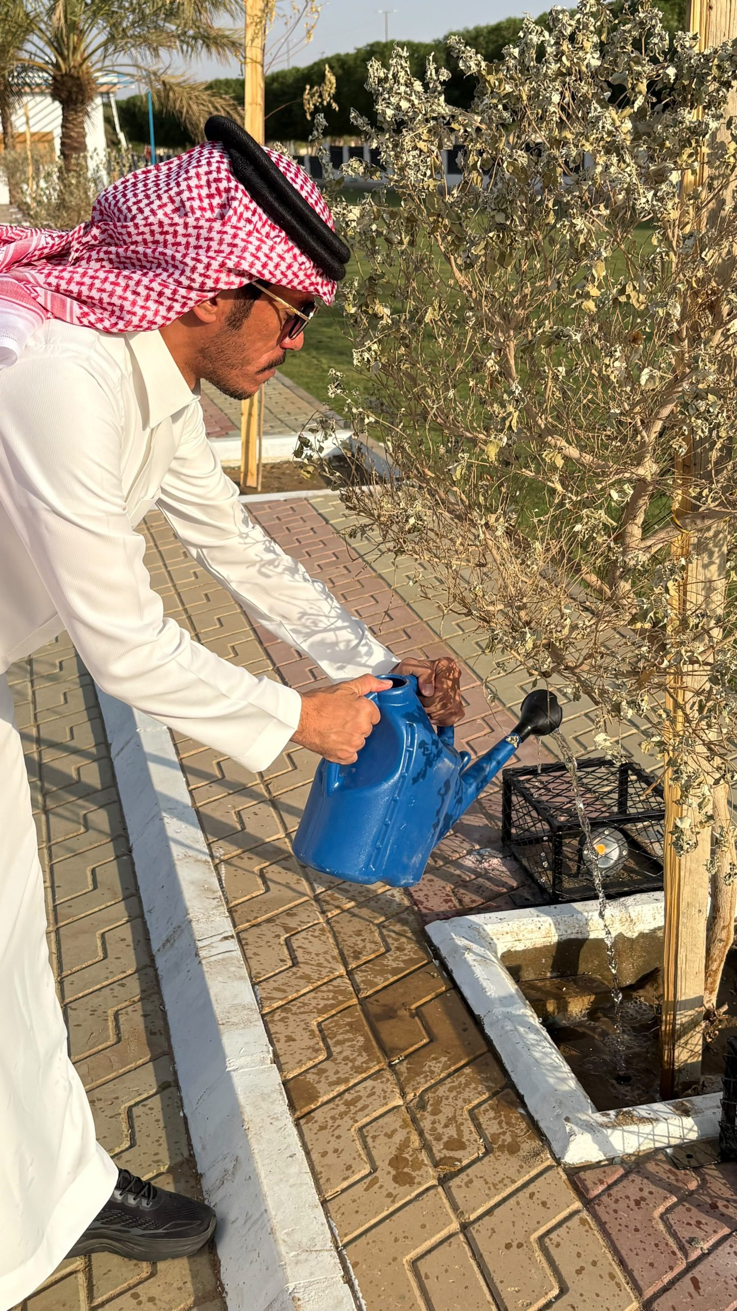 مبادرة تطوعية بعنوان سقيا اشجار في رنيه