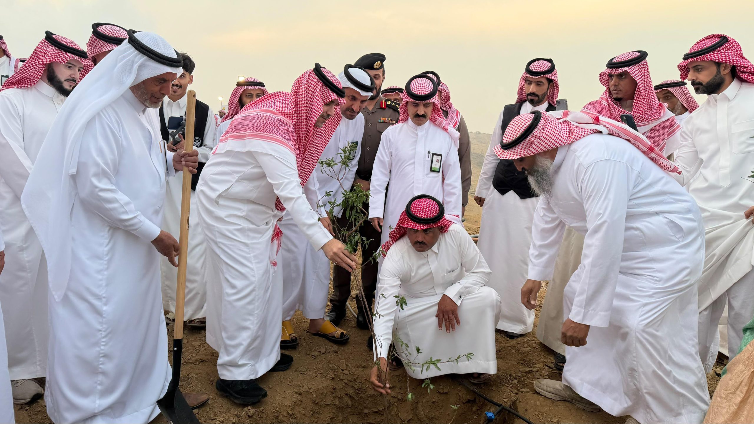 بحضور محافظ المندق ومدير عام فرع وزارة البيئة بالباحة.. غرس 2000 شتلة لوز ضمن موسم التشجير الوطني