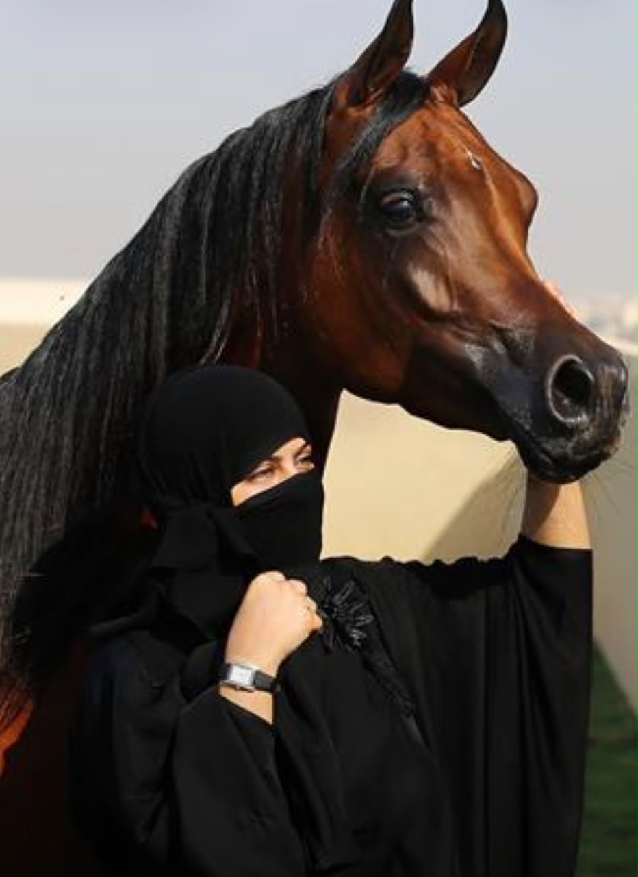 الشاعرة والفارسة سجى العريجة تتألق في أغنيتها الوطنية الجديدة ( أباهي العالم)