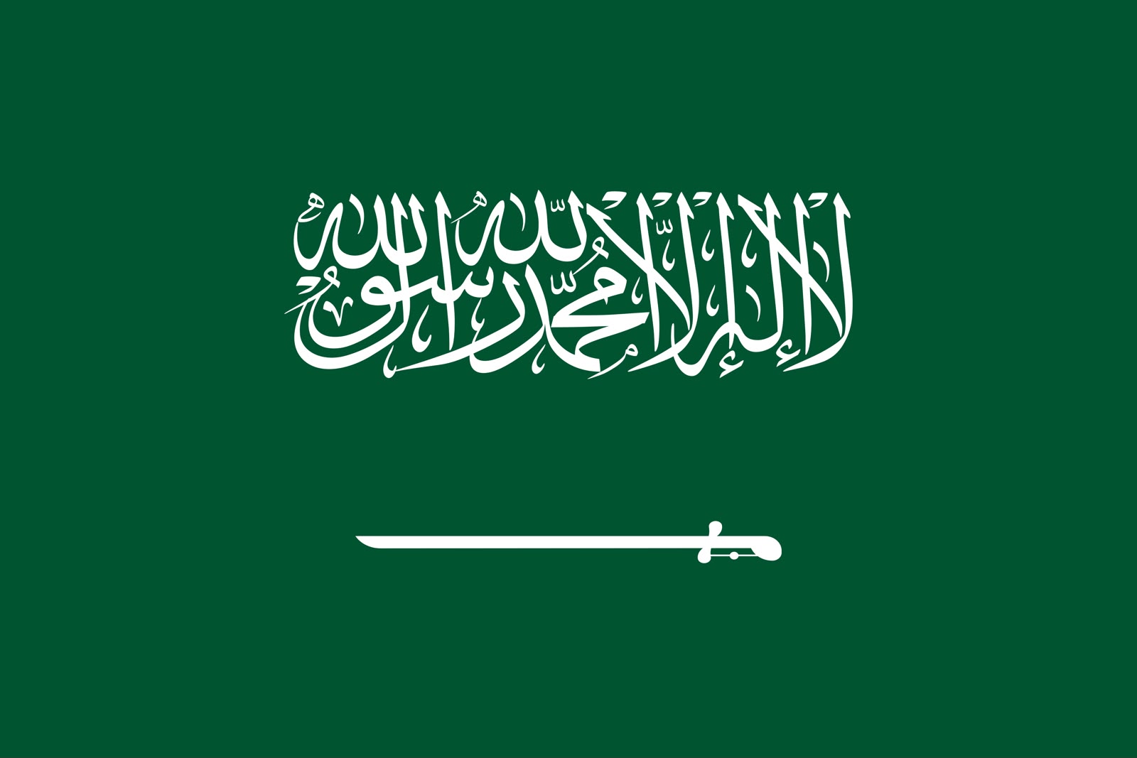 في اليوم العالمي للمدن .. المملكة تتصدر إقليميًا بـ21 مدينة صحية معتمدة من منظمة الصحة العالمية