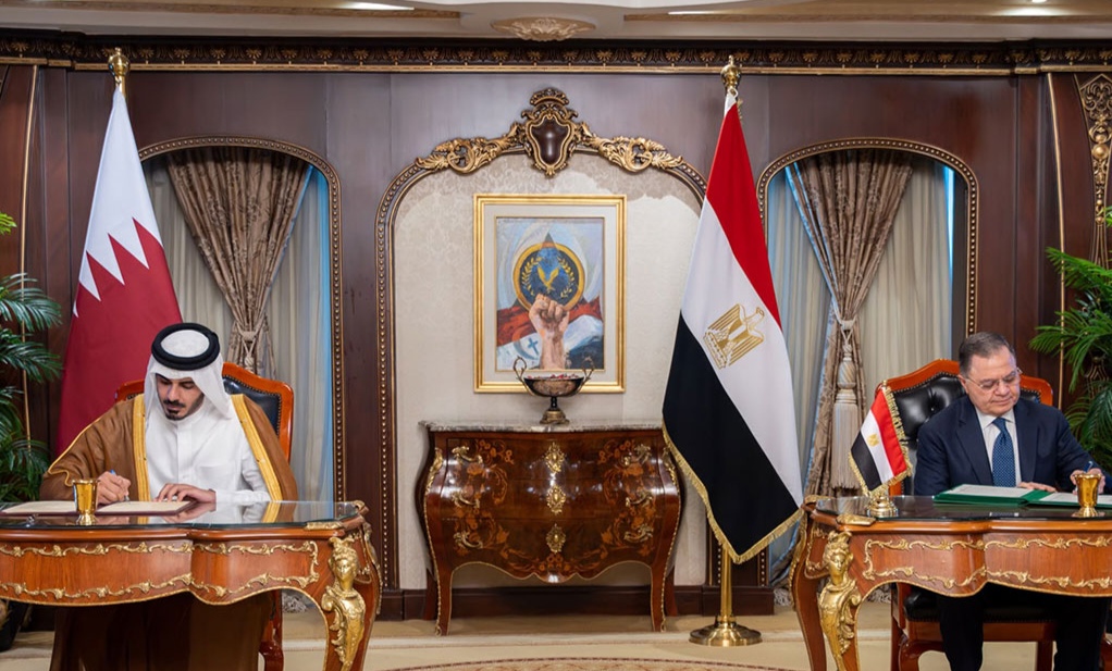 وزير الداخلية المصرى يجتمع مع نظيره القطرى